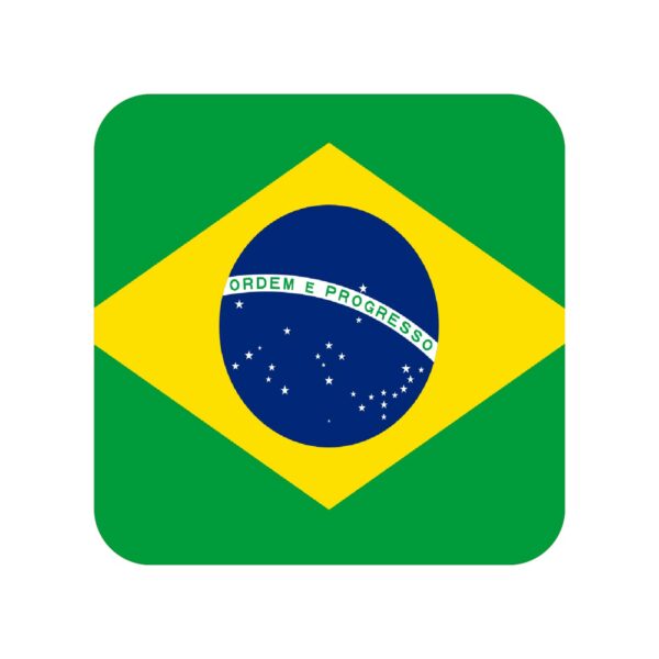 Brazil Business Email Database