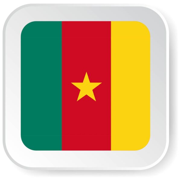 Cameroon Business Email Database