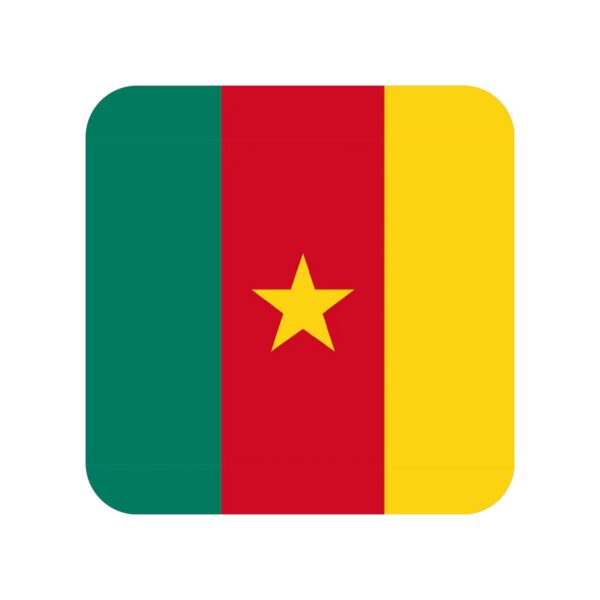 Cameroon Phone Numbers Database