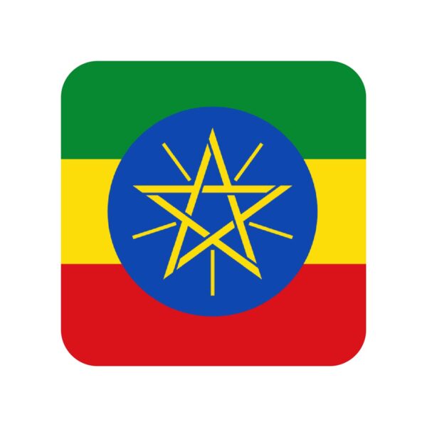 Ethiopia Business Email Database