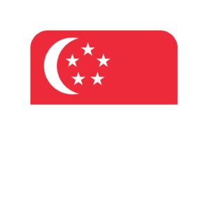 Singapore Consumer Email Database